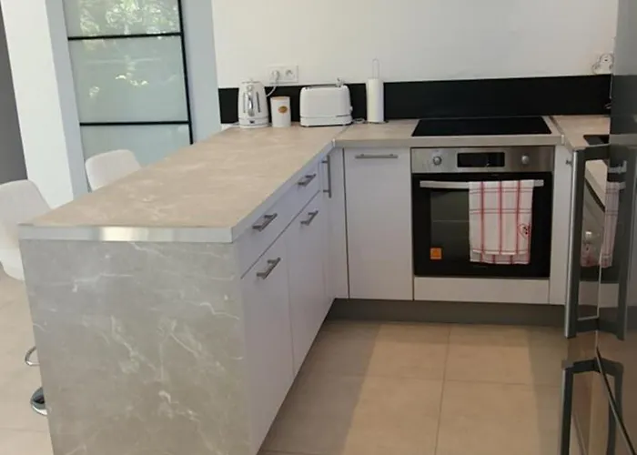 Michel Saint-Felix-de-Lodez